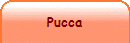 Pucca