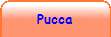 Pucca